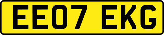EE07EKG