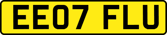 EE07FLU