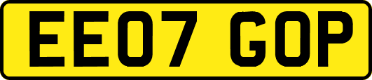 EE07GOP