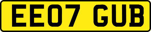 EE07GUB