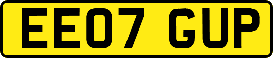 EE07GUP