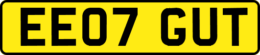 EE07GUT
