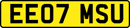 EE07MSU
