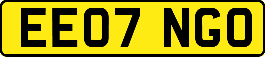 EE07NGO