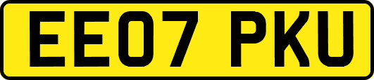 EE07PKU