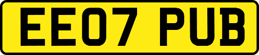 EE07PUB