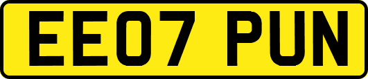 EE07PUN