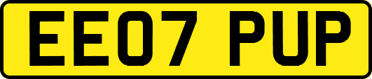 EE07PUP