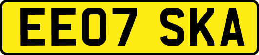 EE07SKA