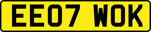 EE07WOK