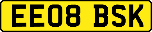 EE08BSK
