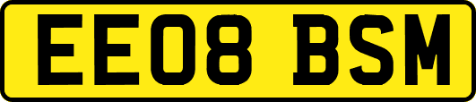 EE08BSM