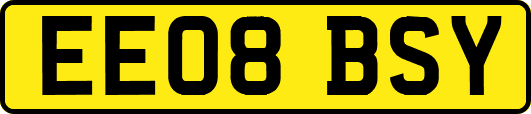 EE08BSY