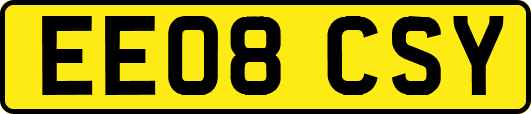 EE08CSY