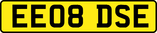 EE08DSE