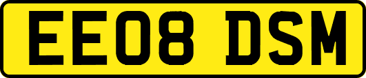 EE08DSM