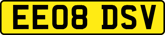 EE08DSV