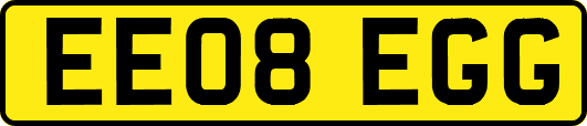 EE08EGG