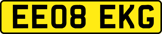EE08EKG