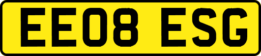 EE08ESG