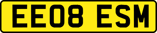 EE08ESM