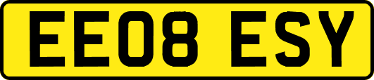 EE08ESY