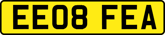 EE08FEA