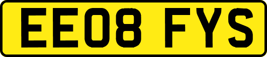 EE08FYS