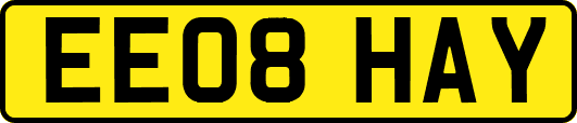 EE08HAY