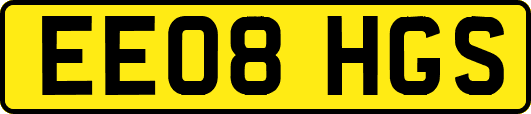 EE08HGS