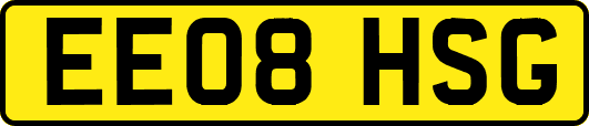 EE08HSG