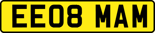 EE08MAM