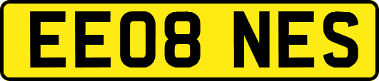 EE08NES