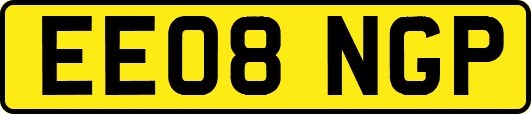 EE08NGP