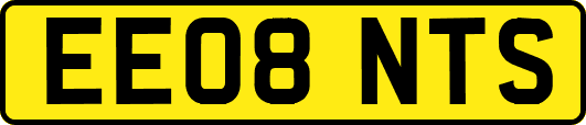 EE08NTS