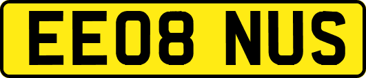 EE08NUS
