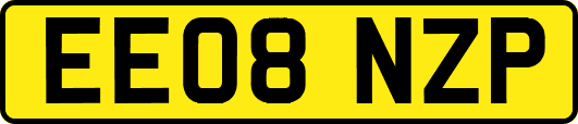 EE08NZP