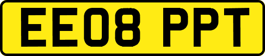 EE08PPT