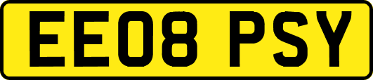 EE08PSY