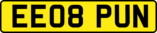 EE08PUN