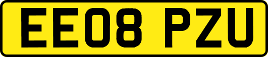 EE08PZU