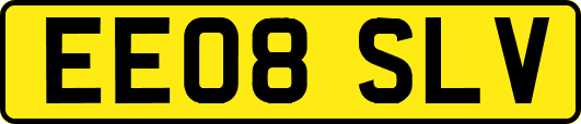 EE08SLV