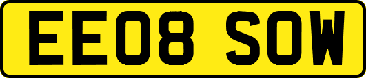 EE08SOW