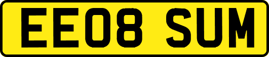 EE08SUM