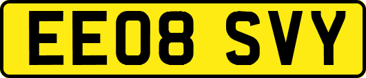 EE08SVY