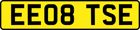 EE08TSE