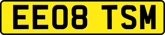 EE08TSM
