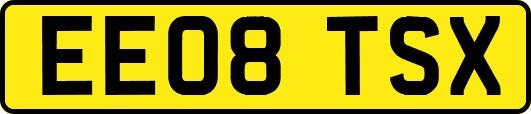 EE08TSX