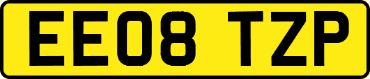 EE08TZP