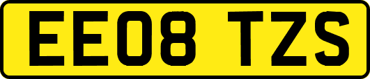 EE08TZS